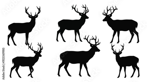 A group of deer silhouettes standing in different positions isolated on white background, Vector