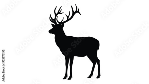 A black silhouette of a deer with large antlers isolated on white background, Vector