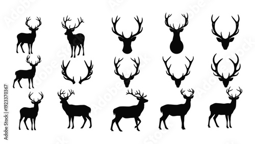 A collection of black deer silhouettes on a white background isolated on white background, Vector