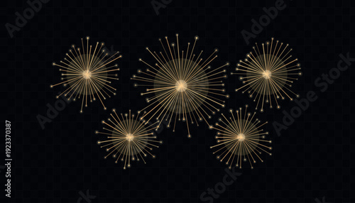 Vibrant fireworks exploding in the night sky