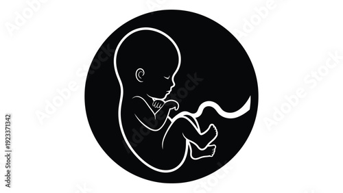 A baby in the womb at a fetal stage isolated on white background, Vector