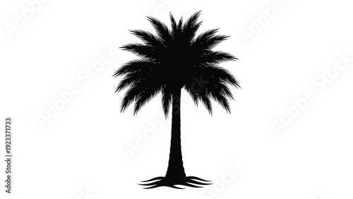 A black silhouette of a palm tree against a white background isolated on white background, Vector