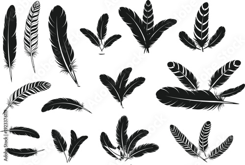 Black feather bundle vector illustration, detailed bird quill silhouette set, natural decorative design element, vintage boho style artwork for creative use