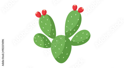 Cactus Vector Illustration, Flat Design, Isolated on White, Botanical, Graphic