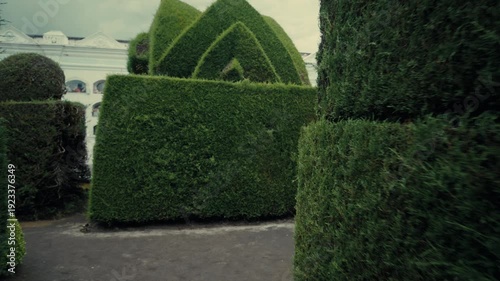 Walking through the hedge labyrinths of Tulcán Cemetery topiary garden in Ecuador