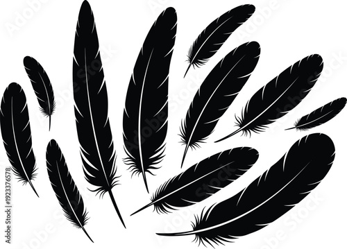 Black feather set vector illustration, soft plumage design, natural decorative element collection for art, boho style, minimal nature and wildlife themed graphics