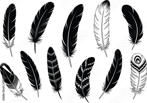 Black feather vector collection, detailed decorative quill illustration, elegant natural bird feathers, boho style silhouette design for art, craft, and vintage decoration