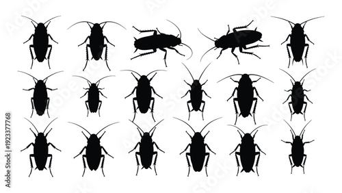 A group of black insects on a white background isolated on white background, Vector
