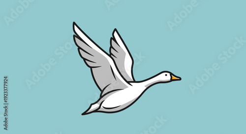 White Goose Flying with Outstretched Wings.