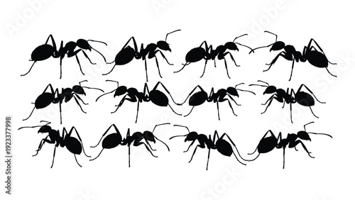 A group of ants walking in a line on a white background isolated on white background, Vector