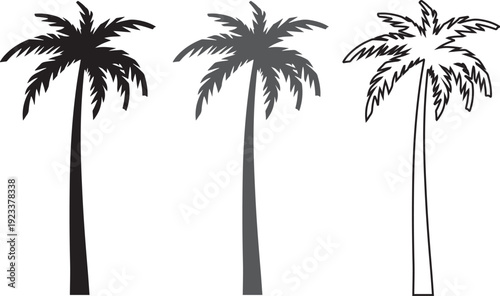 palm tree silhouette, silhouette of palm trees, palm trees silhouette, palm, tree, beach, tropical, vector, summer, illustration, island, nature, sea, sun, silhouette, travel, ocean, palm tree, design