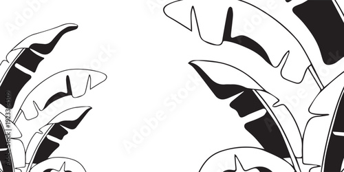 Black and white graphic illustration of tropical banana leaves creating a natural frame on a white background, minimalist botanical design.