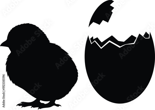 New life emerges from cracked eggshell beside fluffy chick