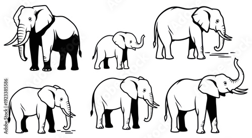 Set of Elephant Illustrations: Adult and Baby Elephants in Various Poses