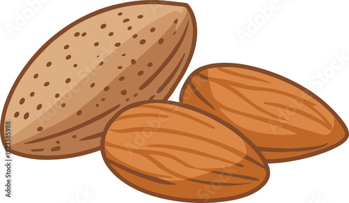 Almond nut flat vector illustration, organic healthy dry fruit snack isolated on white background simple minimal design