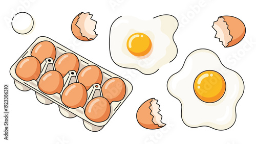 Variety of egg preparations featuring a full carton of brown eggs alongside cracked shells and two perfect fried eggs.