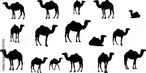 Collection of diverse camel silhouettes in various poses