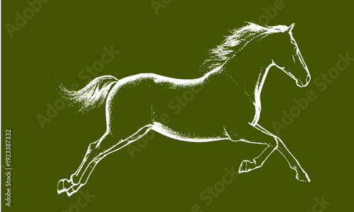 Elegant white sketch of a galloping horse on a dark green background, a minimalist and artistic equine illustration perfect for equestrian, sports, and nature-themed designs