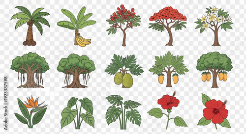 Collection of tropical trees fruits and flowers with a transparent background
