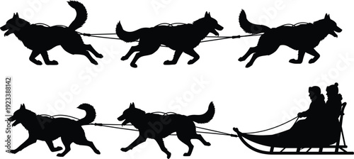 Lion, head, silhouette, vector, predator, animal, wildlife, mane, king, safari, nature, mascot, logo, strength, flavector, isolated, set, collection, cat, roar