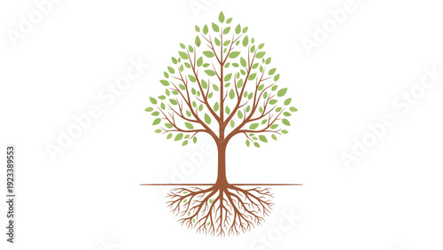 Illustration of a tree with green leaves and exposed roots on a white background.