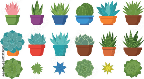 Set of modern indoor houseplants, flat vector illustration featuring monstera, palm, snake plant, and cactus in pots for interior design,