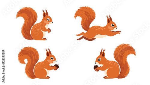Adorable red squirrel characters shown in various natural poses including jumping sitting and holding an acorn on white.