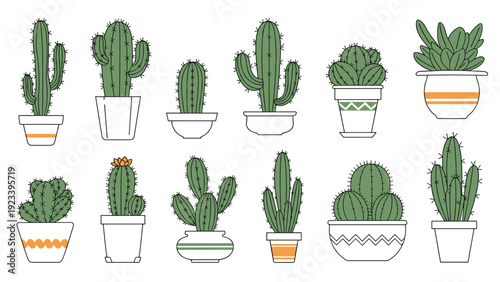 Large set of diverse cactus and succulent plants in various styles of decorative pots for indoor gardening and home decor.