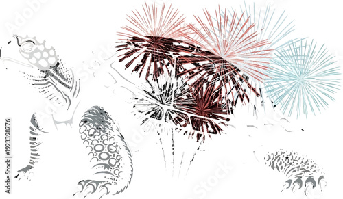 Colorful fireworks exploding in the night sky with various patterns and designs festive atmosphere and celebration