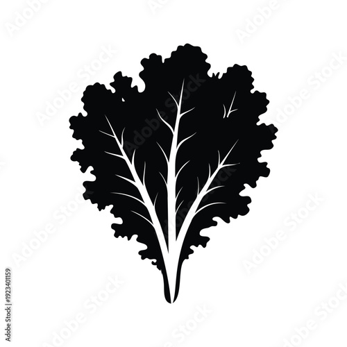 Silhouette of leafy green vegetable with detailed veins and texture, perfect for culinary or botanical silhouette vector illustration, kale silhouette vector illustration