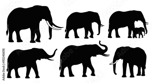 Elephant Silhouettes Collection - African Wildlife Vector Graphics