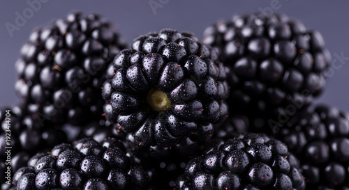Fresh Ripe Blackberries Closeup on Purple Background.