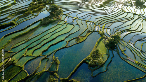 A beautiful view of a field with water and plants. The water is blue and the plants are green