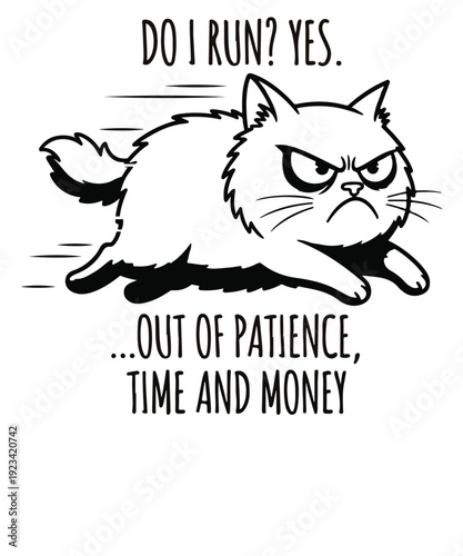 Funny Grumpy Cat Do I Run Out of Patience Time and Money, grumpy cat, funny feline, sarcastic humor