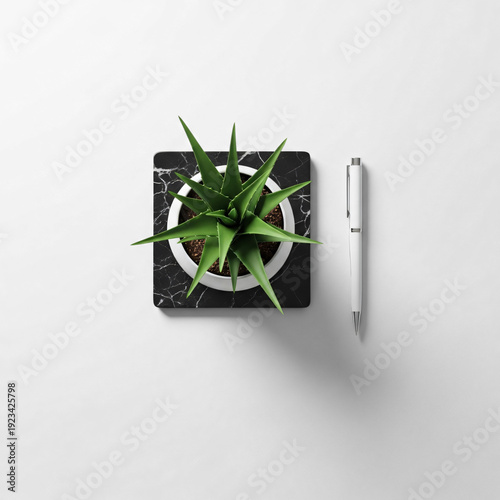 Clean Desk Scene Succulent Plant and Pen on Marble