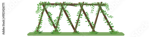 Rustic wooden trellis in a garden built with natural branches in an A frame style. Green leafy vines climb and wrap around the structure creating a lush organic vibe.