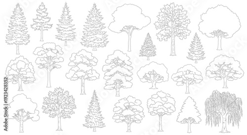 A comprehensive collection of diverse tree outlines and line art, showcasing various species and shapes for graphic design resources.