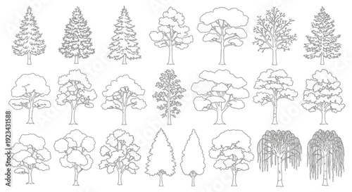 Collection of various tree outlines and silhouettes for graphic design projects.