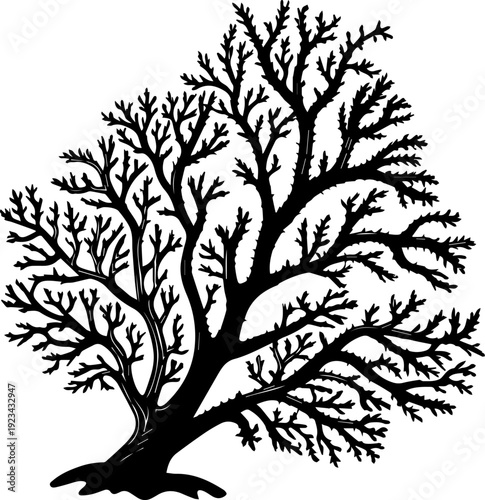 Black Silhouette of a Leafless Tree with Intricate Branches Vector
