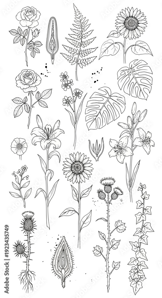 Fototapeta premium A collection of detailed black and white line art botanical illustrations featuring various flowers and plants such as roses, lilies, sunflowers, ferns, and monstera leaves.