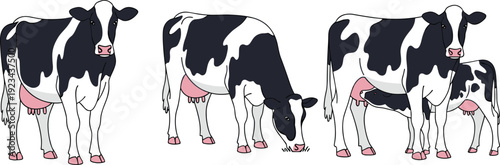 Holstein dairy cows with calf grazing, livestock farming illustration, animal husbandry concept, milk production design, rural agriculture artwork - flavector