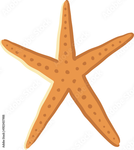 Summer Orange Starfish Vector Art