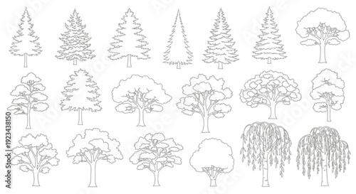 Collection of diverse tree outlines and silhouettes, featuring various coniferous and deciduous tree species in simple line art.