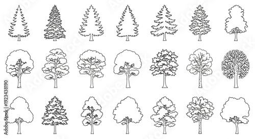 Collection of various tree outlines and line art illustrations, showcasing different shapes and types of trees in a simple drawing style.
