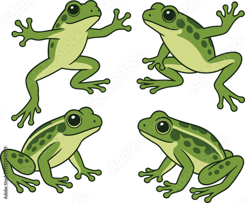 Green tree frog illustration set, cute amphibian cartoon characters isolated on white background for wildlife design