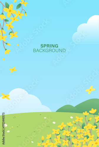 Spring landscape background with yellow forsythia flowers, green field and blue sky