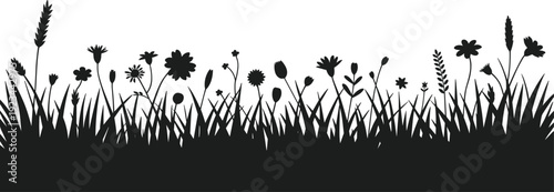 Black silhouette of diverse wild grass and flowering plants against a white background vector