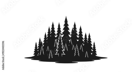 Black silhouette of evergreen trees.