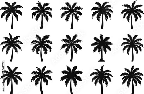 Palm tree silhouette collection, tropical coconut trees isolated on white background for summer travel and nature design