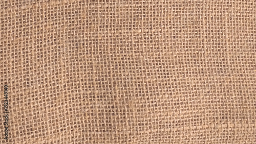 Brown sackcloth texture or background and empty space. Jute burlap canvas texture. Background for text and picture. Brown sackcloth texture or background and empty space.